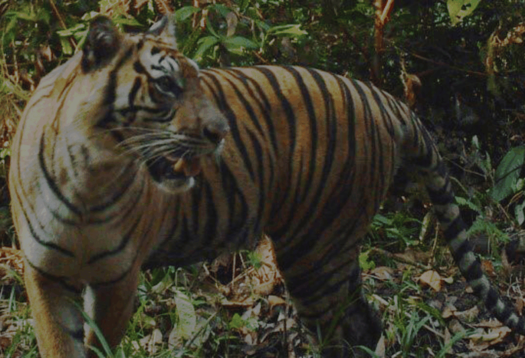 Ekosistem dan Zonasi