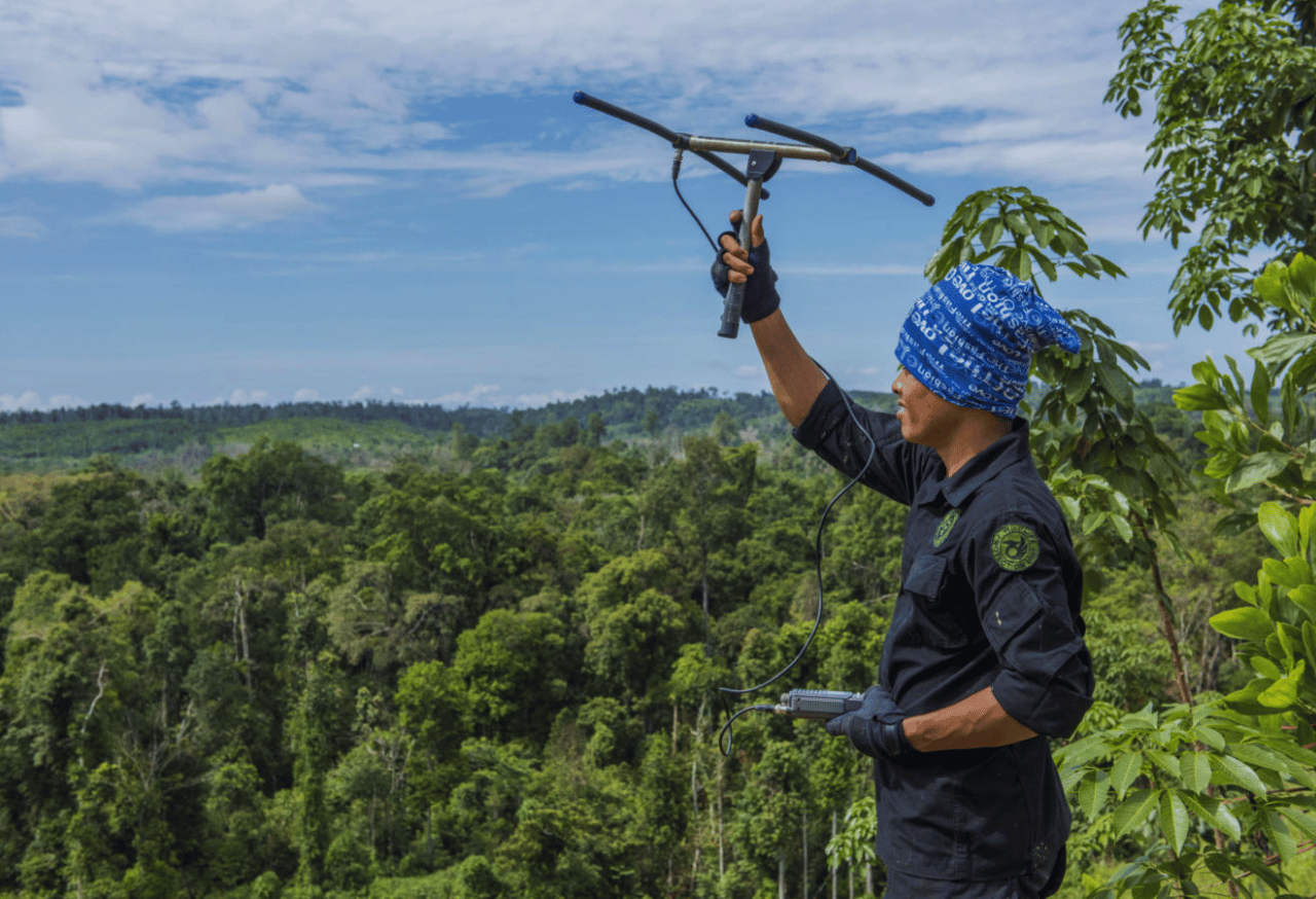 Kampanye Media Sosia