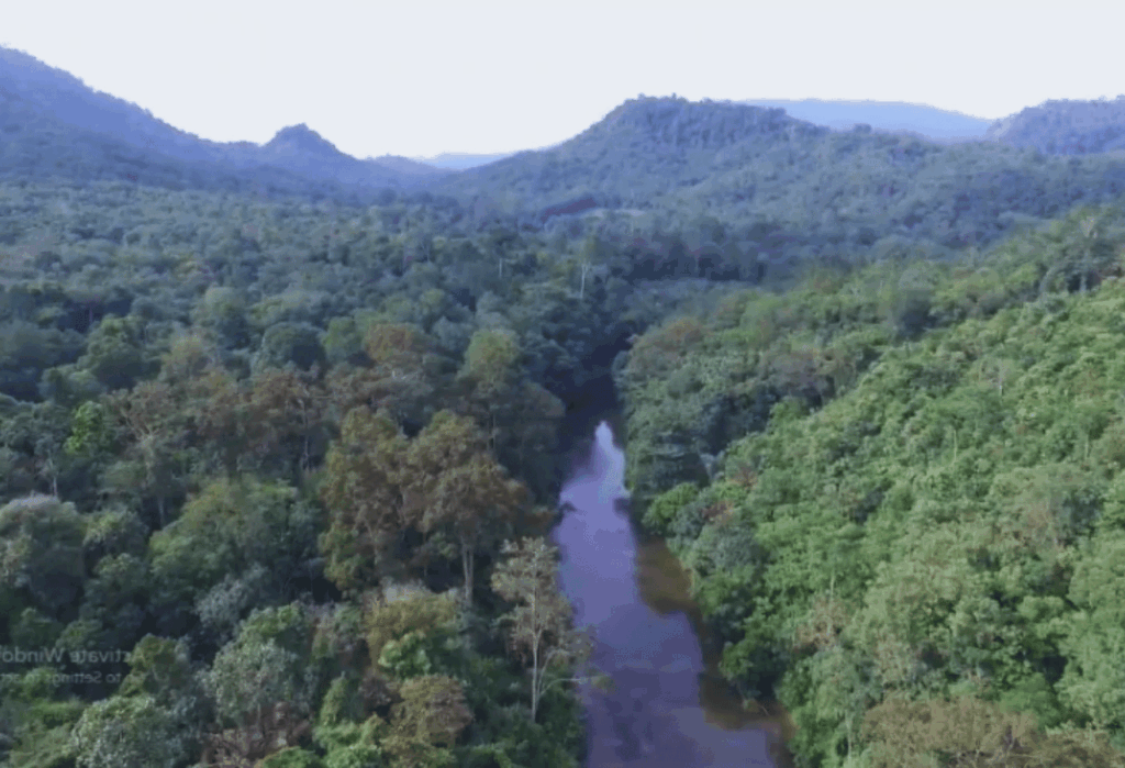 Kekayaan Biodiversitas yang Menakjubkan