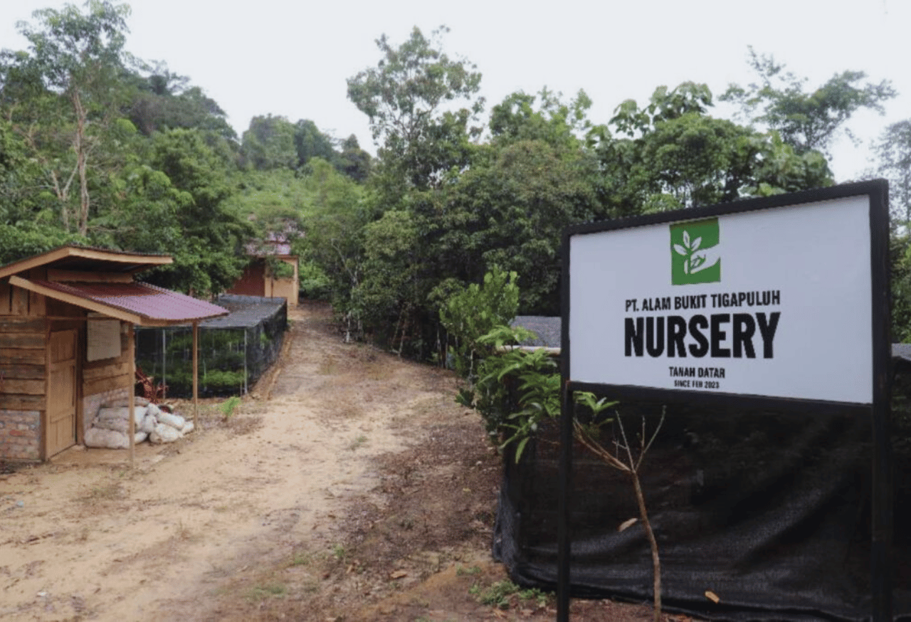 Mengembangkan Program Restorasi dan Rehabilitasi Kawasan