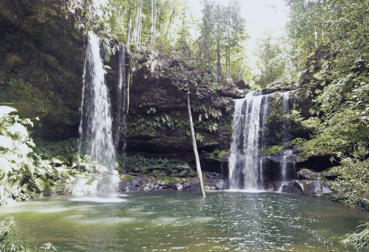 Menjaga Fungsi Hidrologis dan Iklim