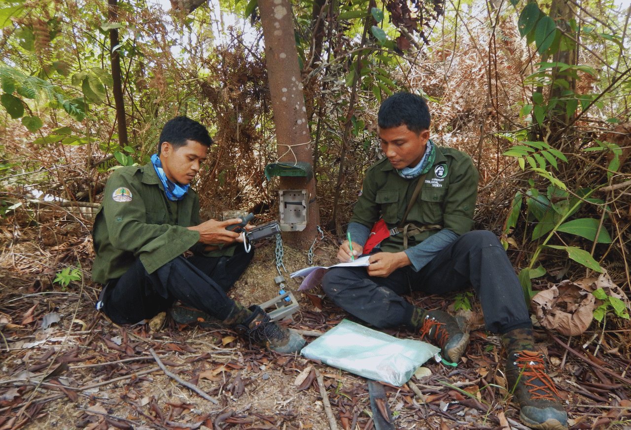 Penelitian dan Monitoring