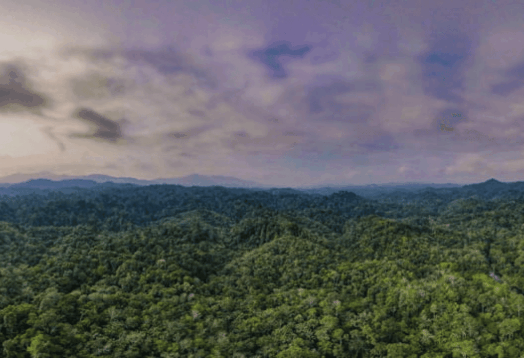 Pengertian Konservasi Taman Nasional Bukit Tigapuluh
