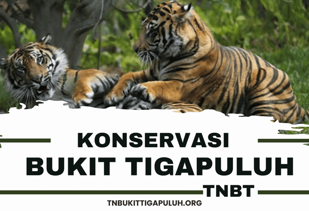 Pengertian Taman Nasional Bukit Tigapuluh