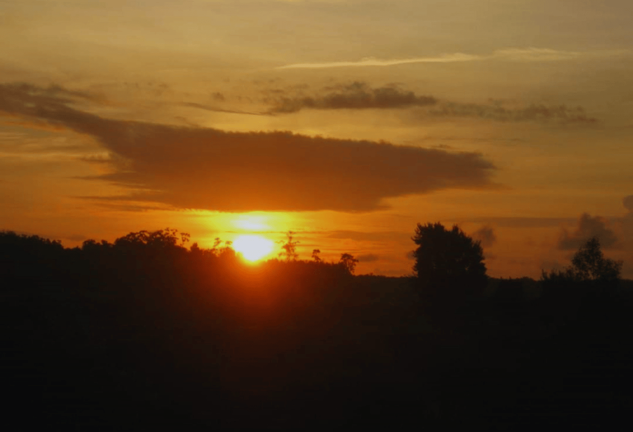 TAMAN NASIONAL BERBAK SEMBILANG