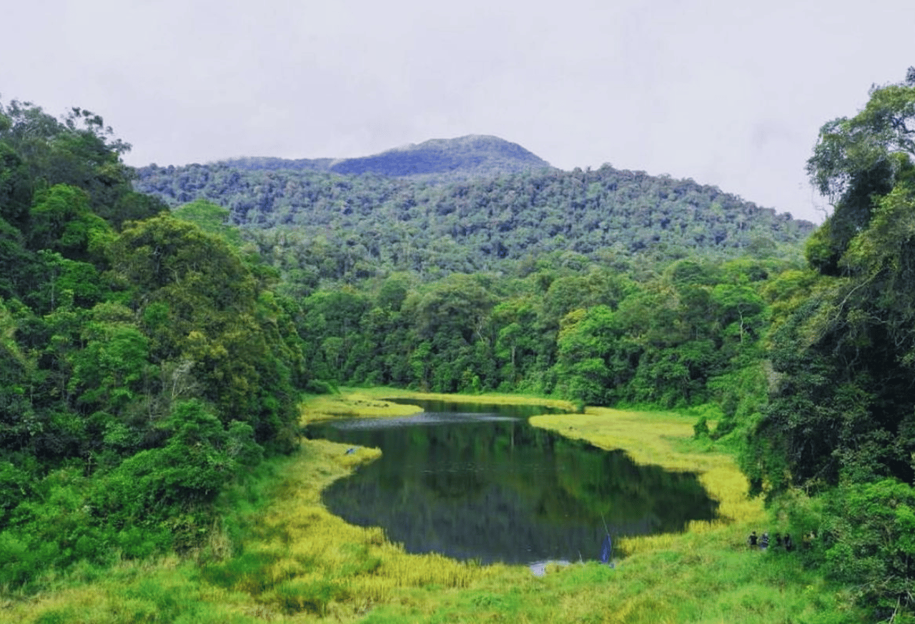 TAMAN NASIONALL BATANG GADIS