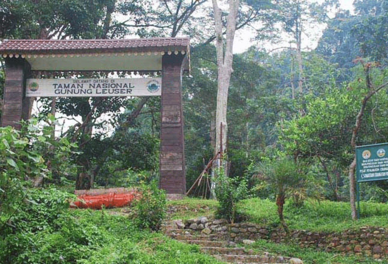 Taman Nasional Gunung Leuser