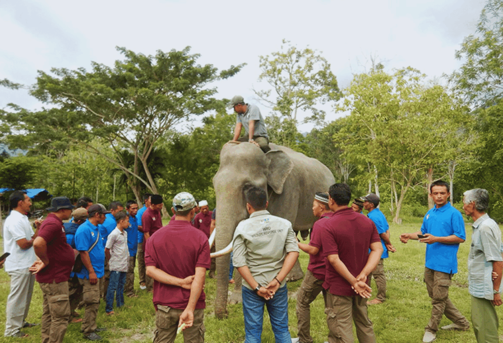 Upaya Mengatasi Konflik Manusia dan Satwa Liar
